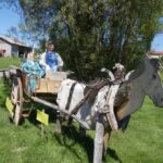 visite-les-épouvantails-cheval-vauribeyre-auvergne