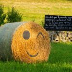 visite-les-épouvantails-vauribeyre-auvergne-puy-de-dome-63